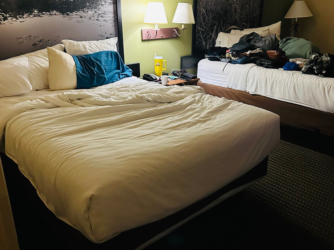 Super 8 by Wyndham Troy主图