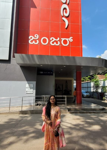 迈索尔姜酒店主图