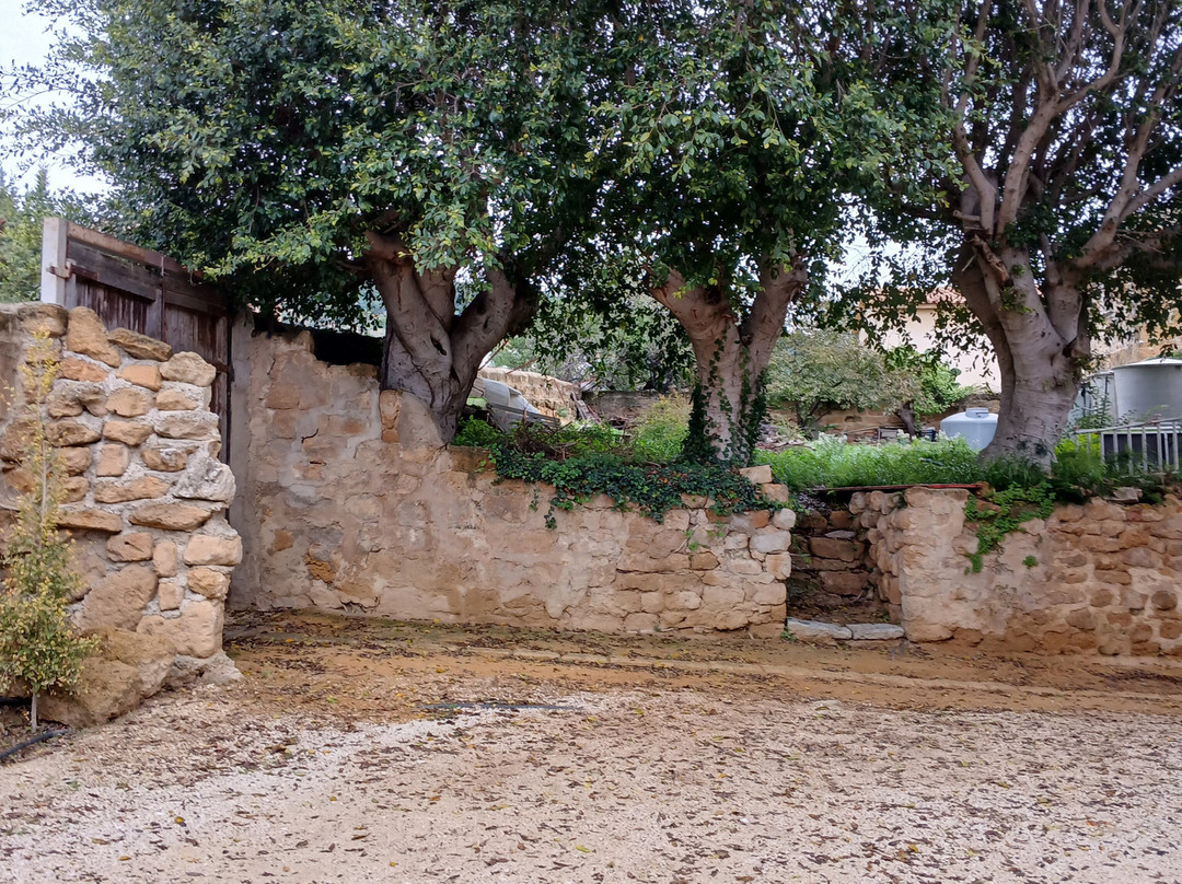 Il Giardino di Bonamorone景点图片