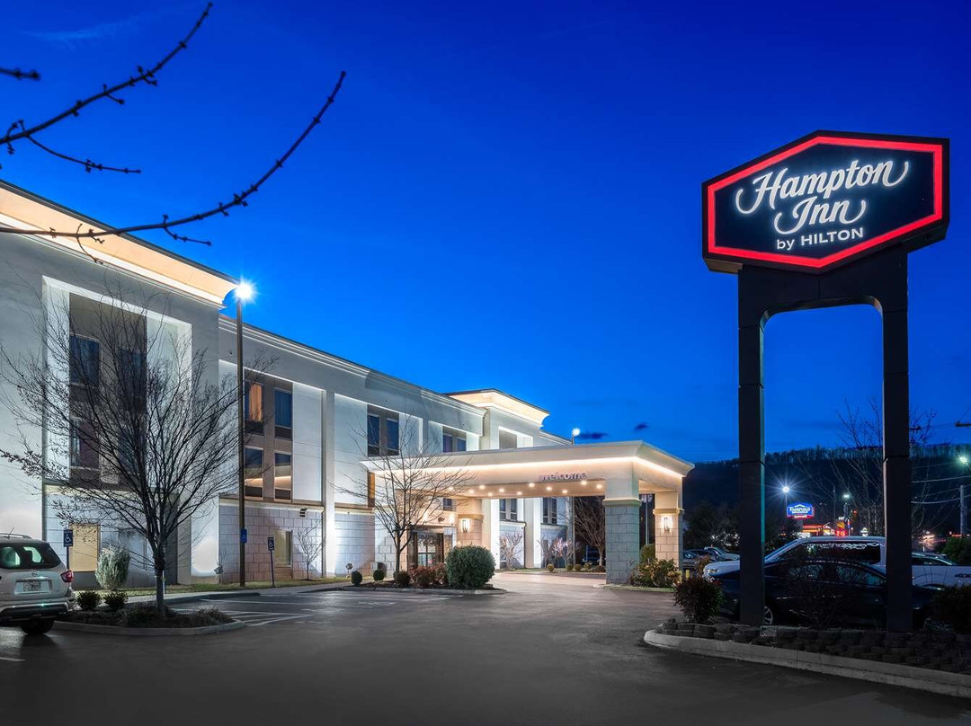 Hampton Inn Roanoke/hollins - I-81主图
