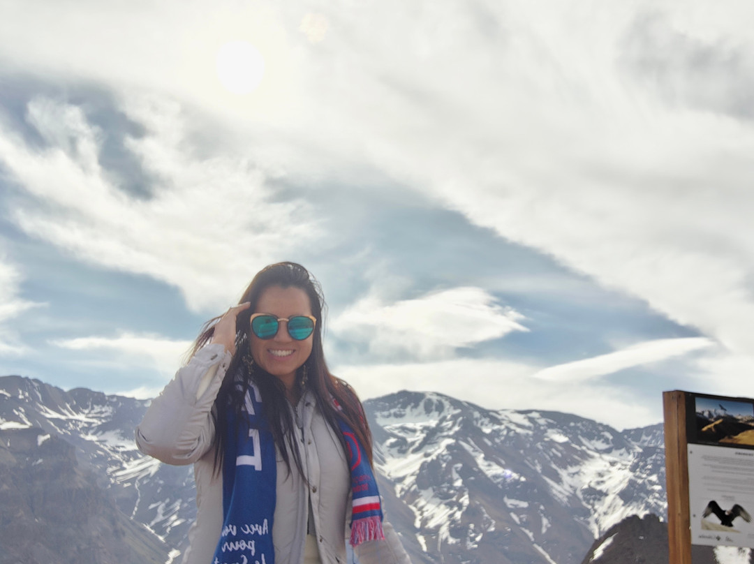 Hotel Valle Nevado主图