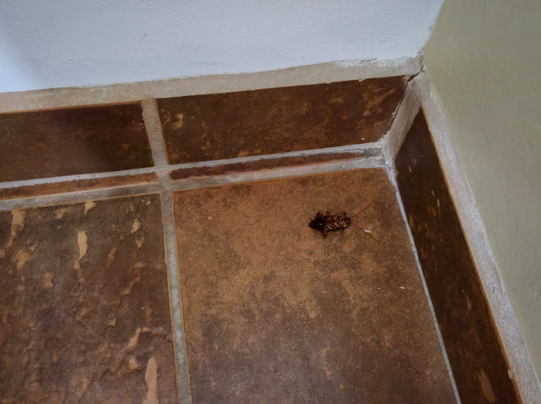 Costa del Sol Hotel & Sportfishing主图