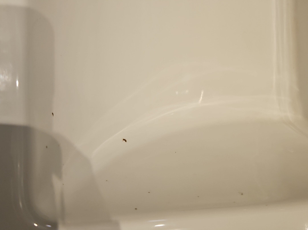 King's Cliff Hotel主图