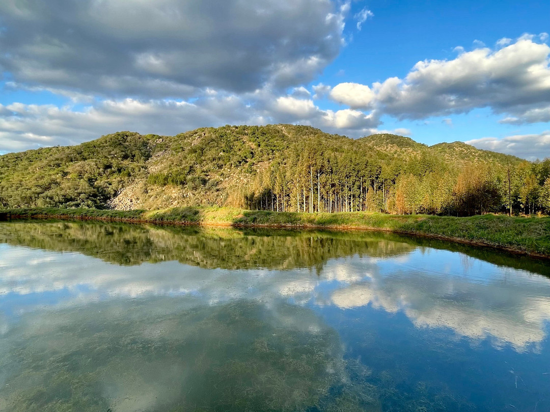 Emahlathini Guest Farm主图