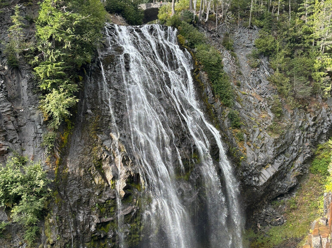 Mount Rainier National Park景点图片