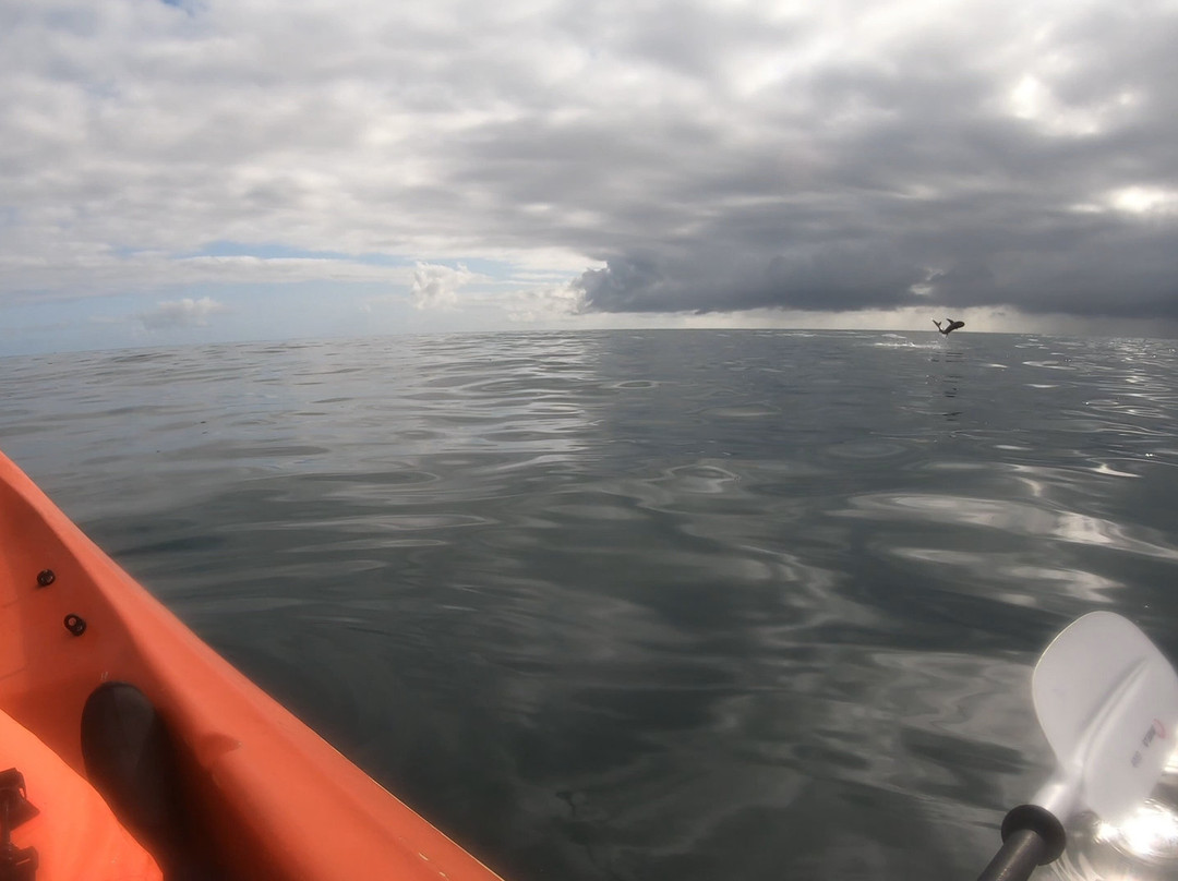 Palm Cove Watersports-棕榈湾必去景点