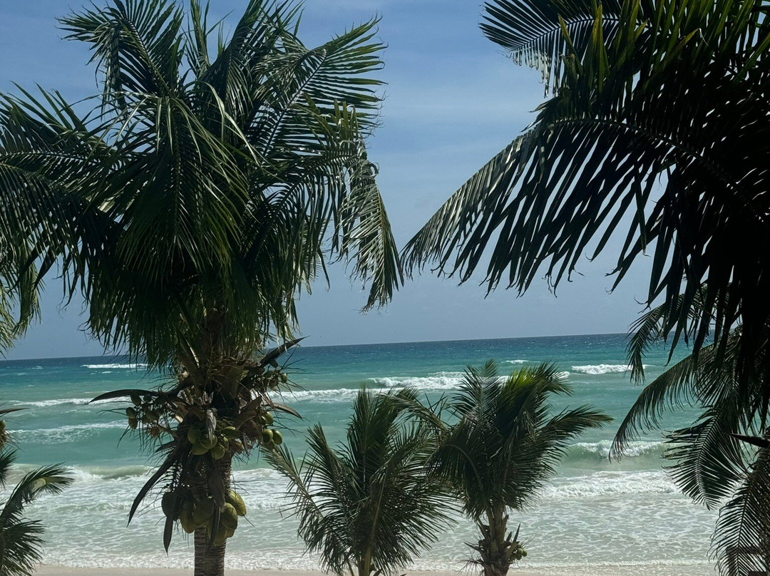 Hotel Los Arrecifes主图