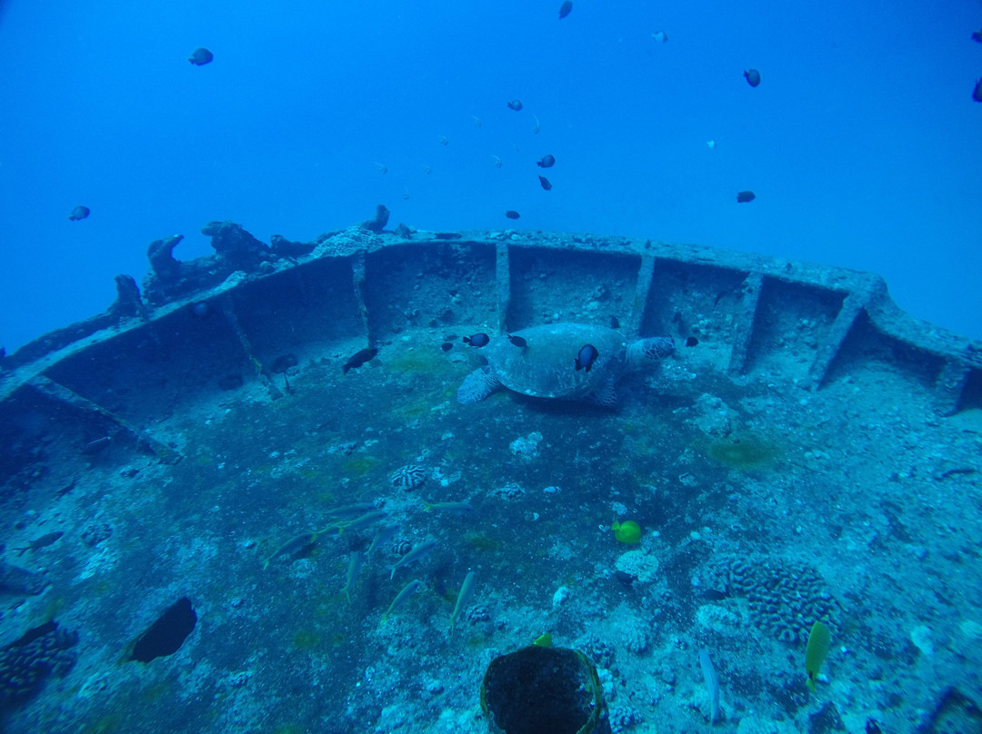 深层生态学-哈雷瓦必去景点