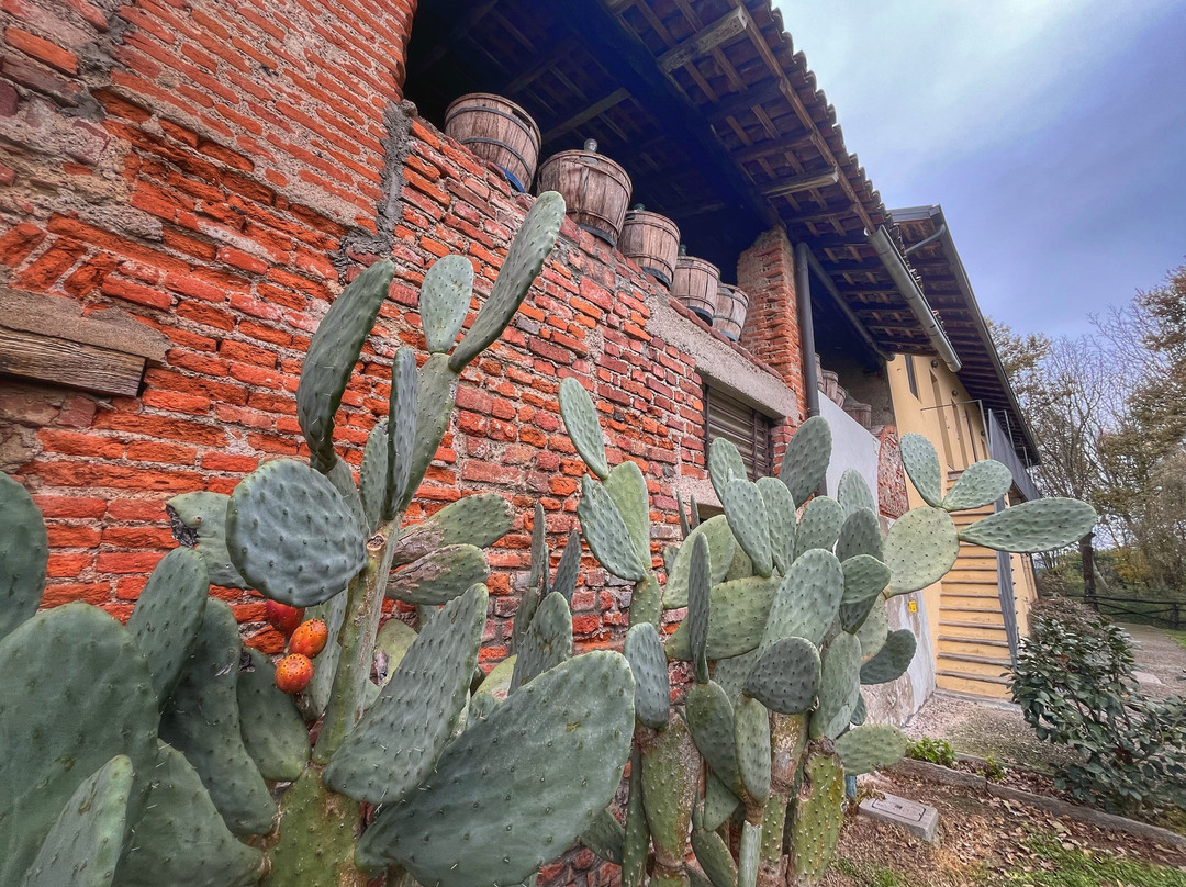 Agriturismo Cascina Scanna主图