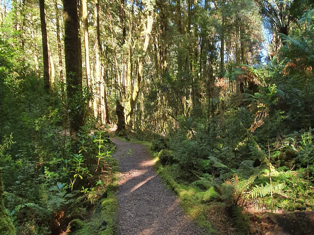 Dubbil Barril Railway Station-斯特拉恩必去景点