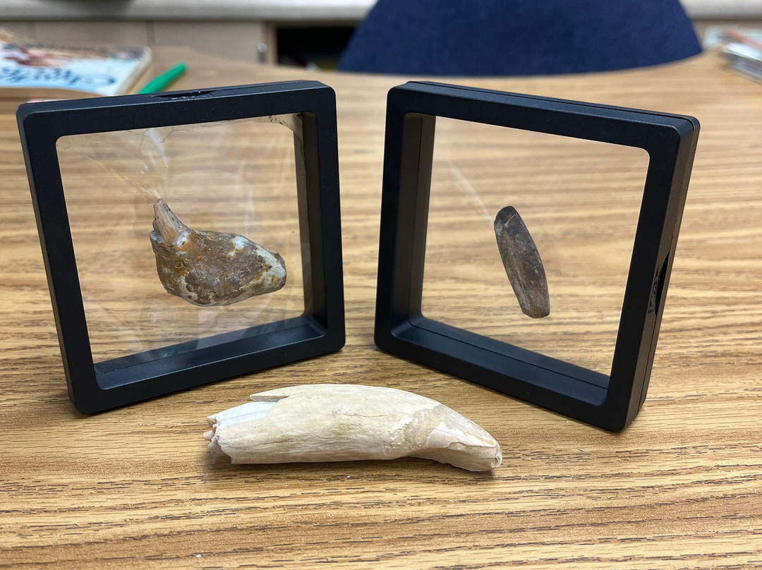 Ernst Quarries-贝克斯菲尔德必去景点