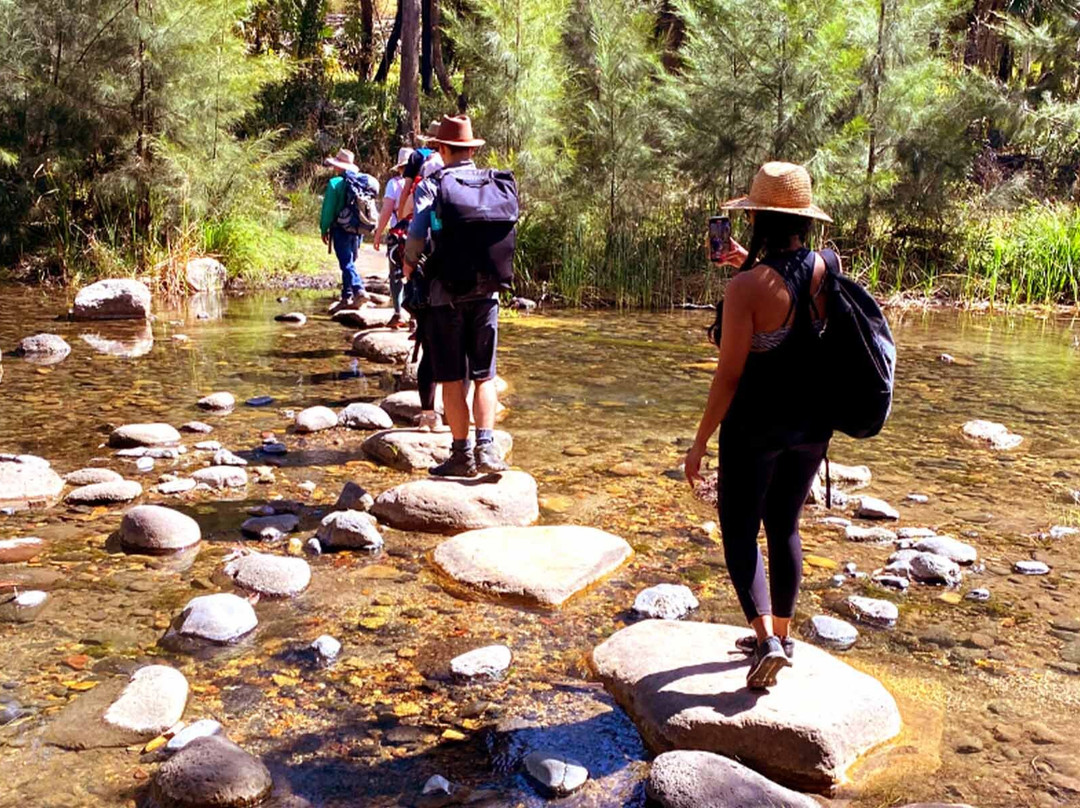 Boobook Explore-Roma必去景点