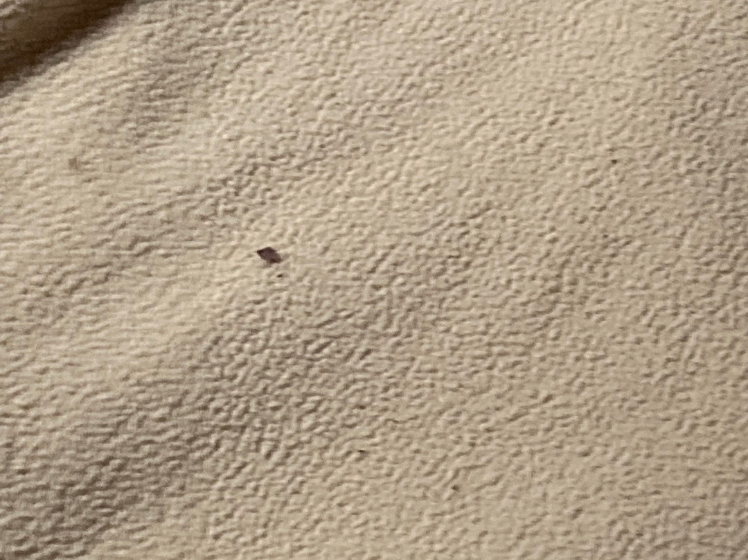 Travelodge by Wyndham Drummondville主图