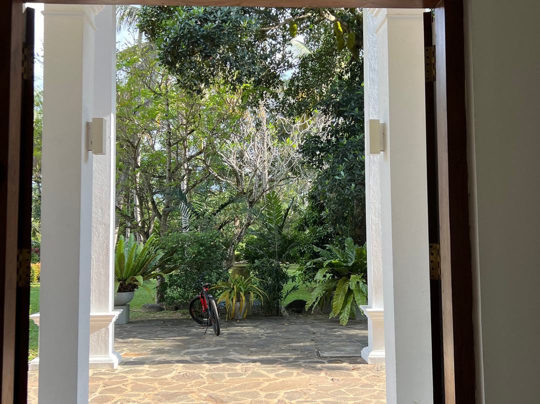 The Notary's House主图