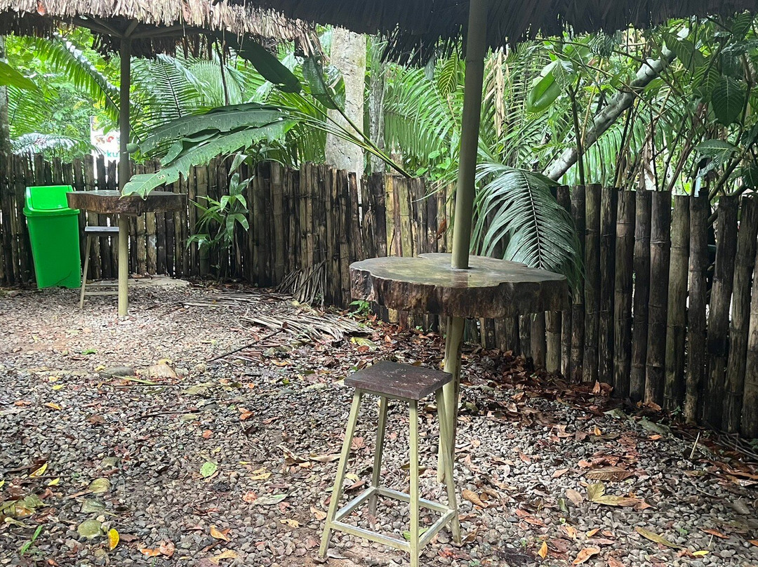 Centro Urku-Tarapoto必去景点