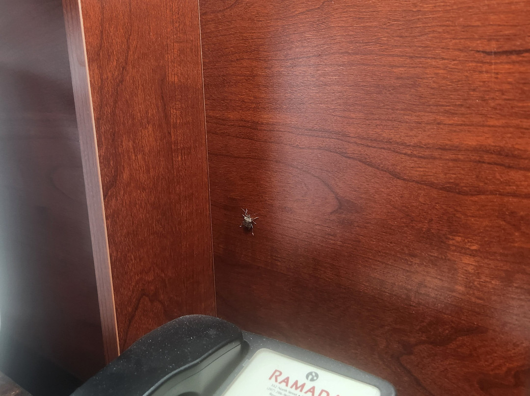 Ramada by Wyndham Saco/Old Orchard Beach Area主图