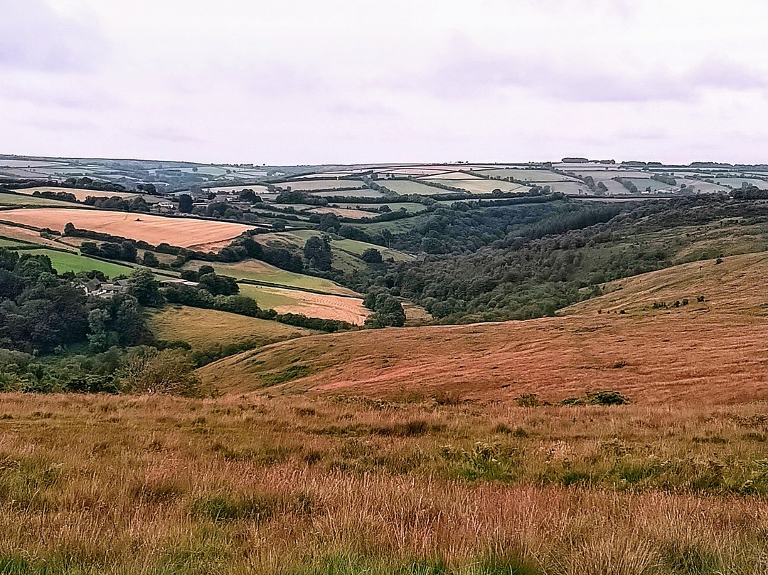 Pine Lodge Riding On Exmoor景点图片