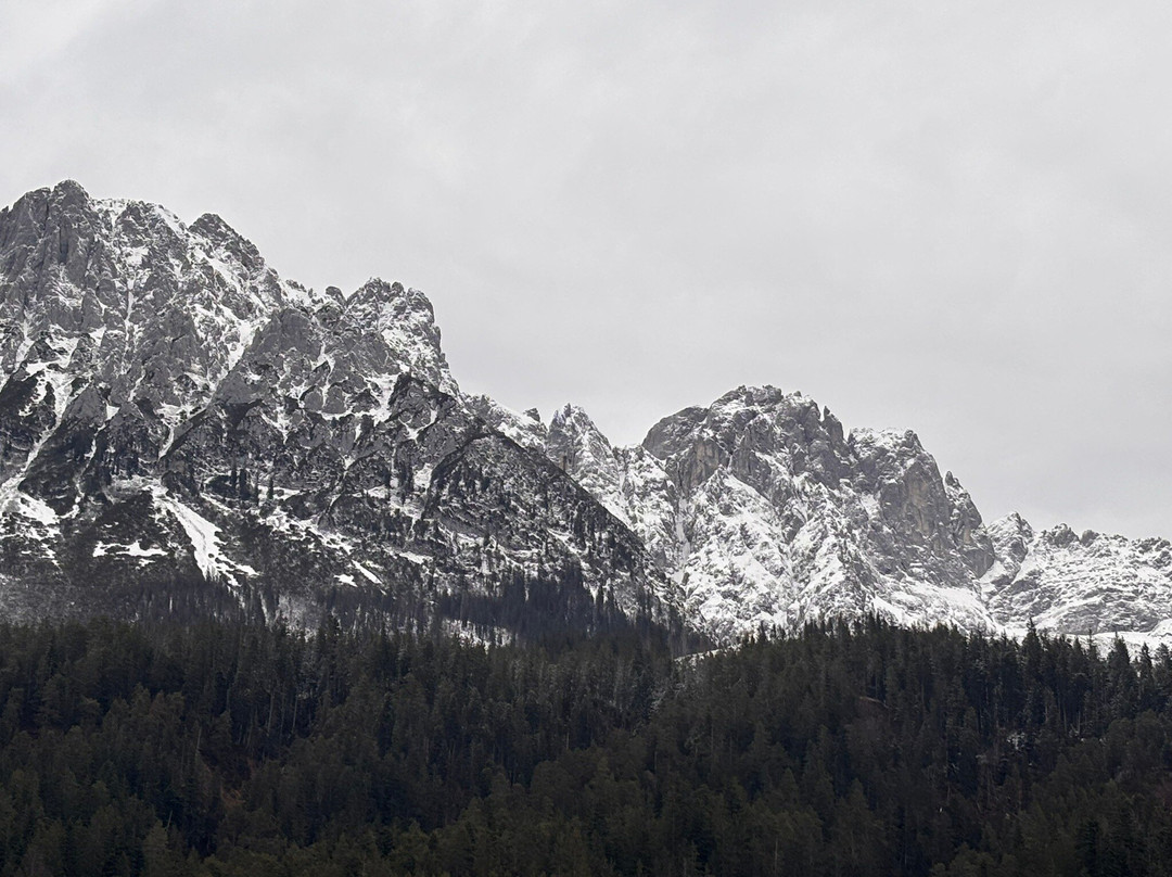 Going am Wilden Kaiser酒店住宿-Gäestehaus Brantlhof
