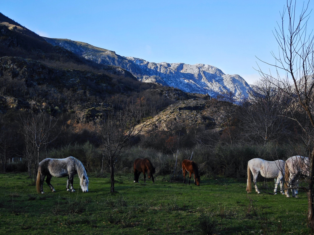 Hotel Don Pepe主图