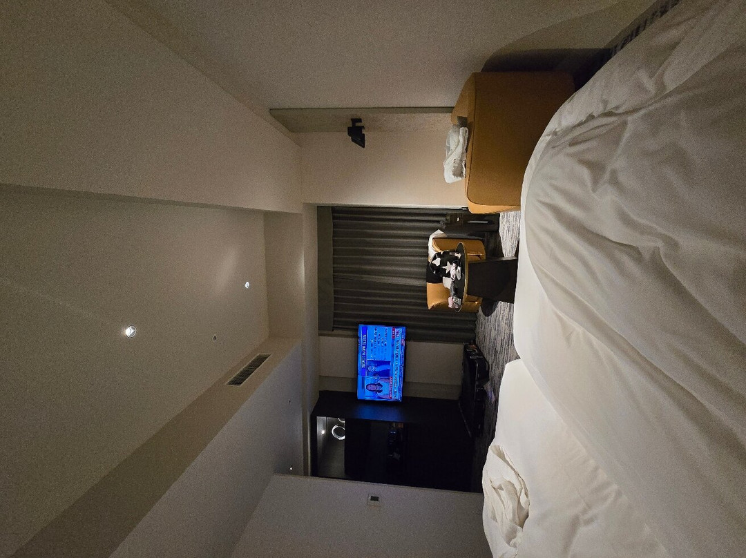 THE GATE HOTEL RYOGOKU by HULIC主图