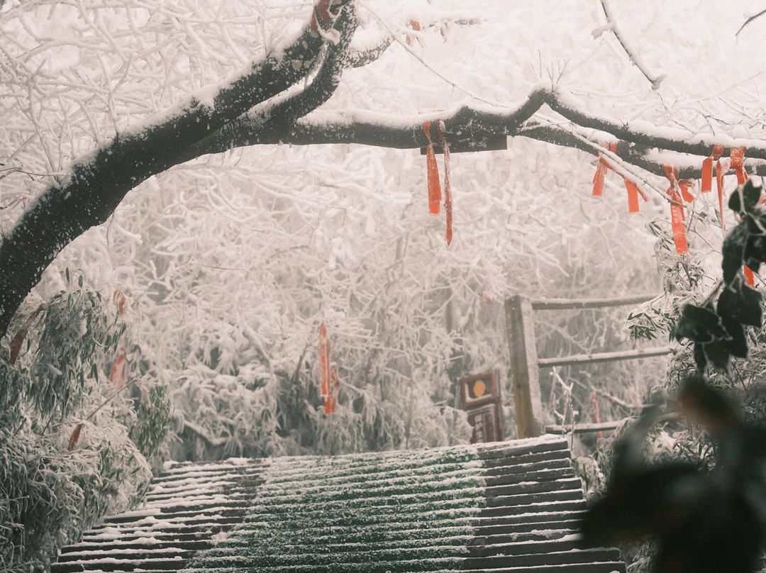 金佛山景点图片