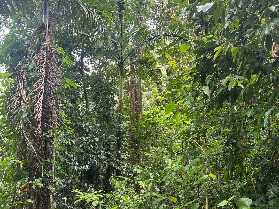Tainopark-Santa Barbara de Samana必去景点