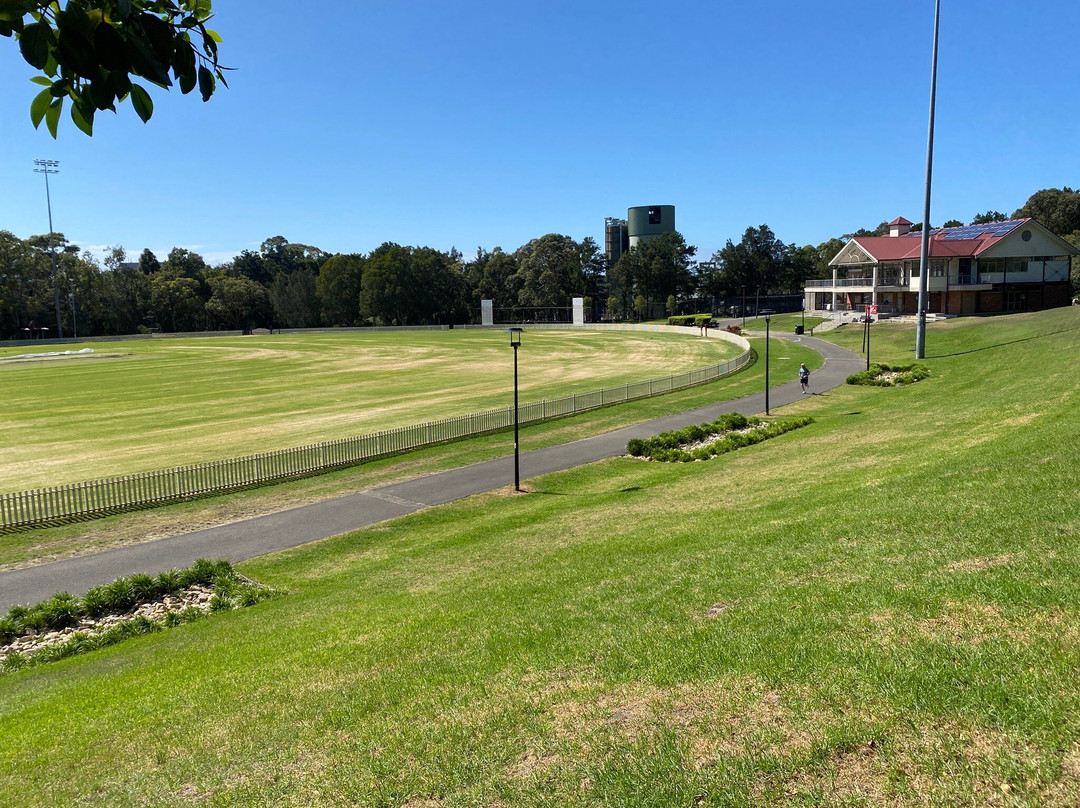 Alan Davidson Oval-Alexandria必去景点