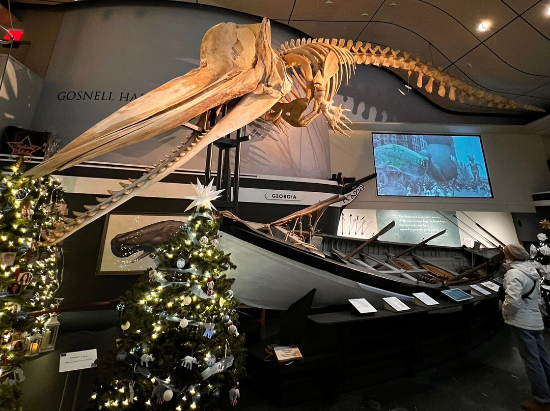 Whaling Museum景点图片