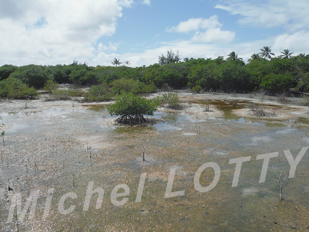 Etang des Salines-Sainte-Anne必去景点