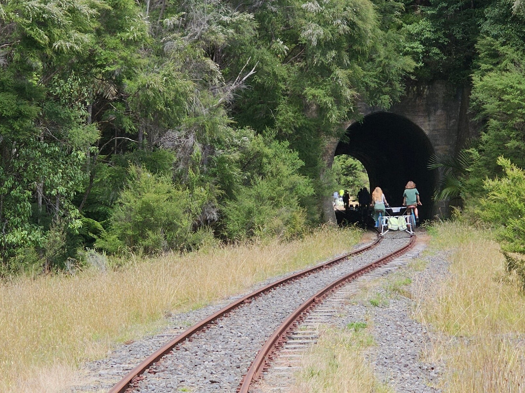Gisborne Railbike Adventure景点图片