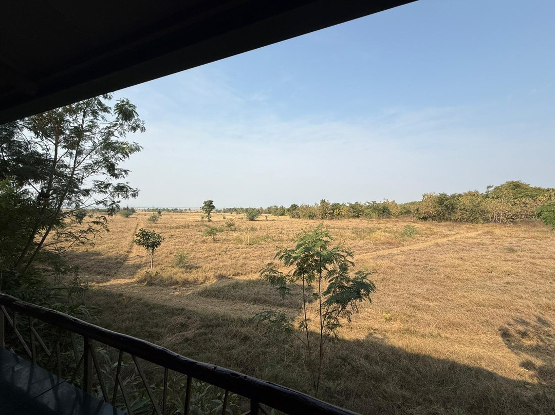 Tadoba Jungle Camp - Jungle Camps India主图