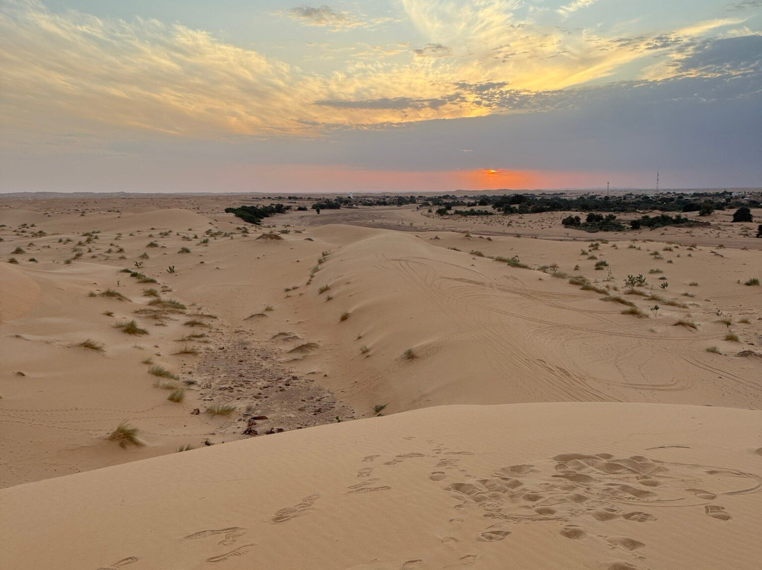 Mauritania Best Tours-诺克少必去景点