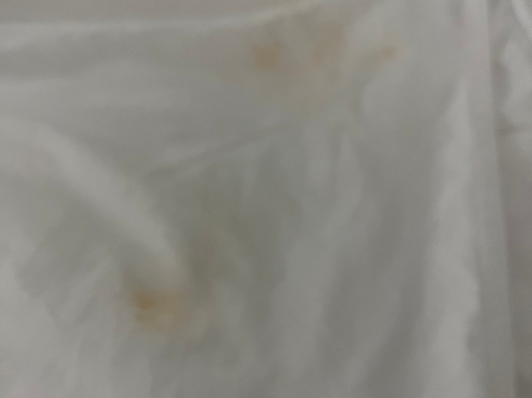 休斯顿/利格城汉普顿套房酒店主图