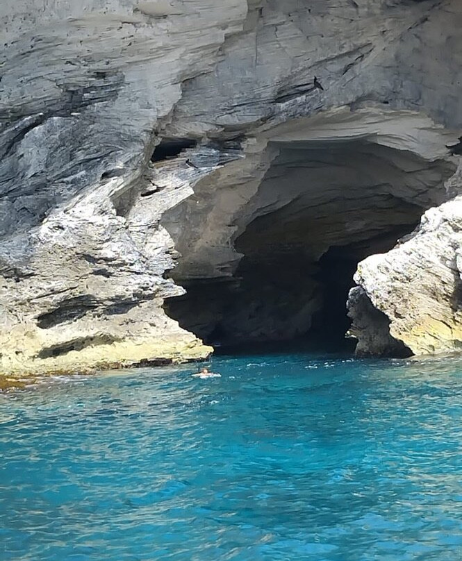 Special 'D' Diving & Charters-West End Village必去景点