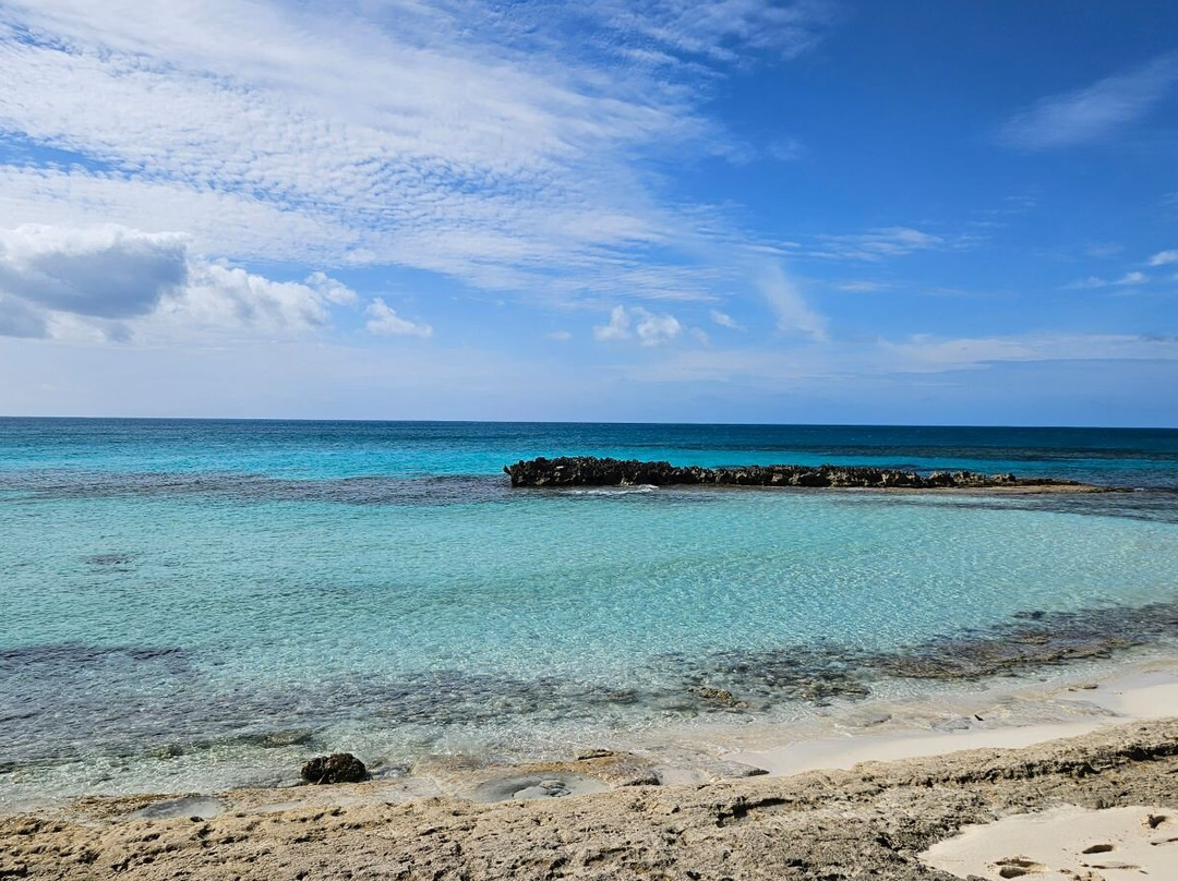 Cat Island Experience-Cat Island必去景点