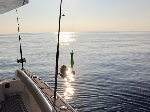 Tails Up Tours-马富士岛必去景点