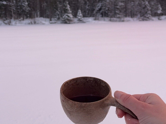 Vuosku Arctic Experiences-罗瓦涅米必去景点