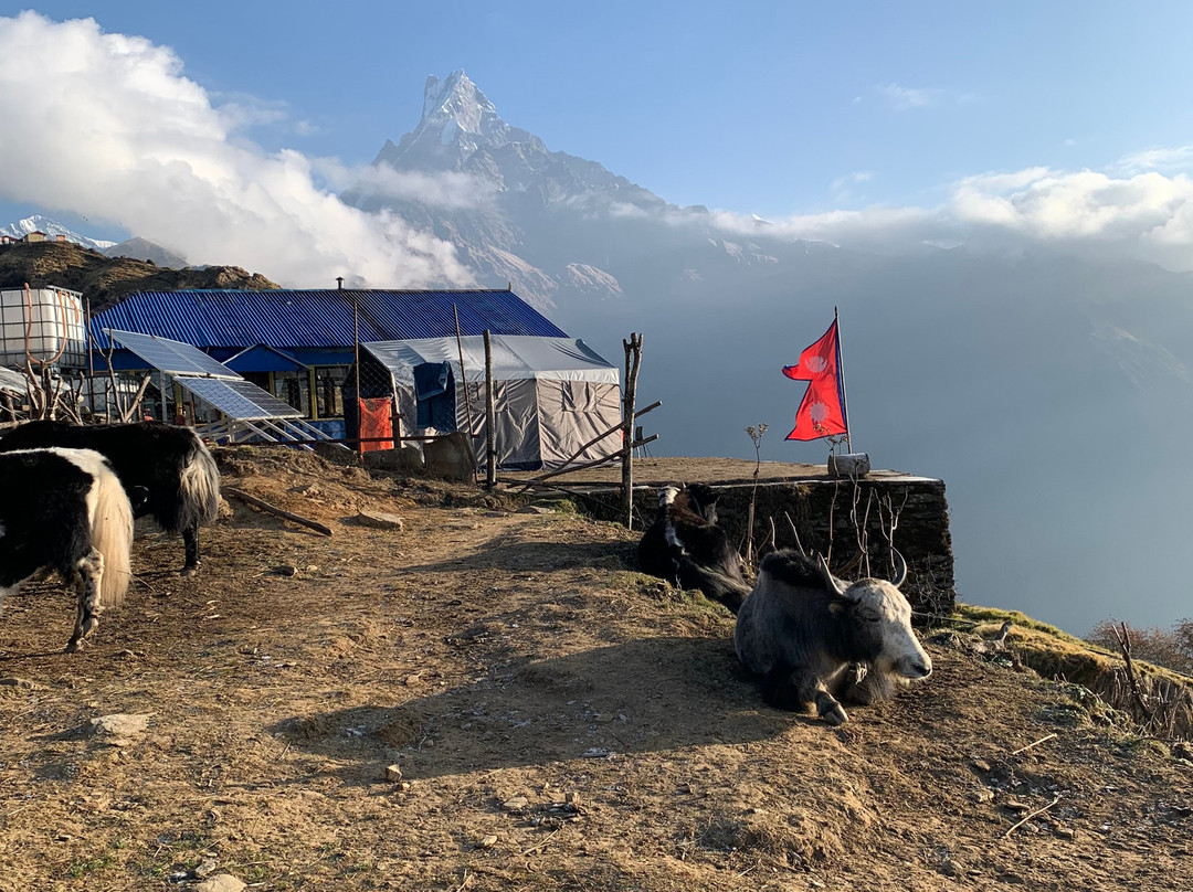 Brave Heart Himalaya Treks景点图片