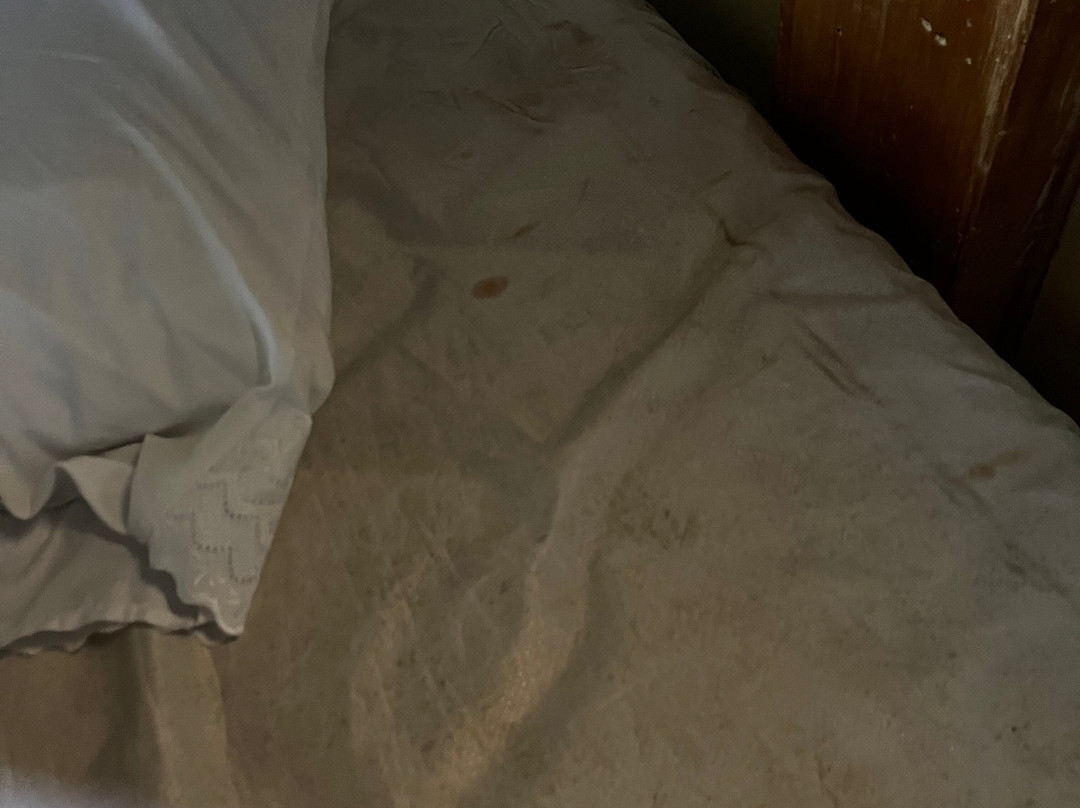 Ecohotel Kocoluu主图