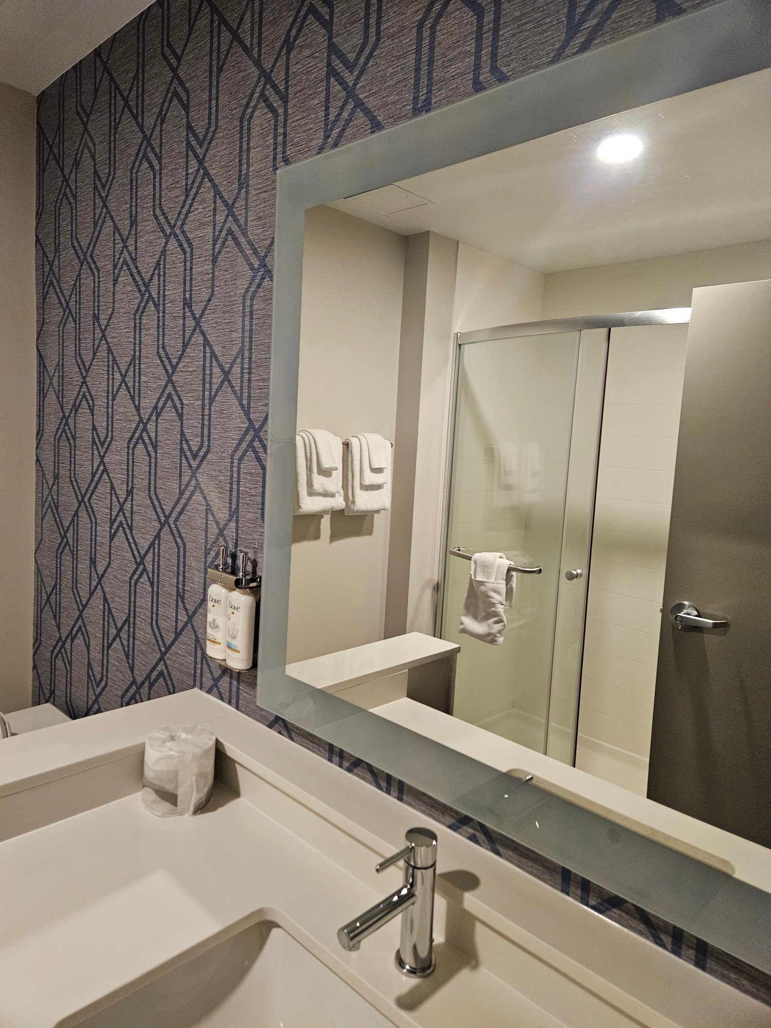 Holiday Inn Express & Suites Sanford - Lake Mary by IHG-浴室