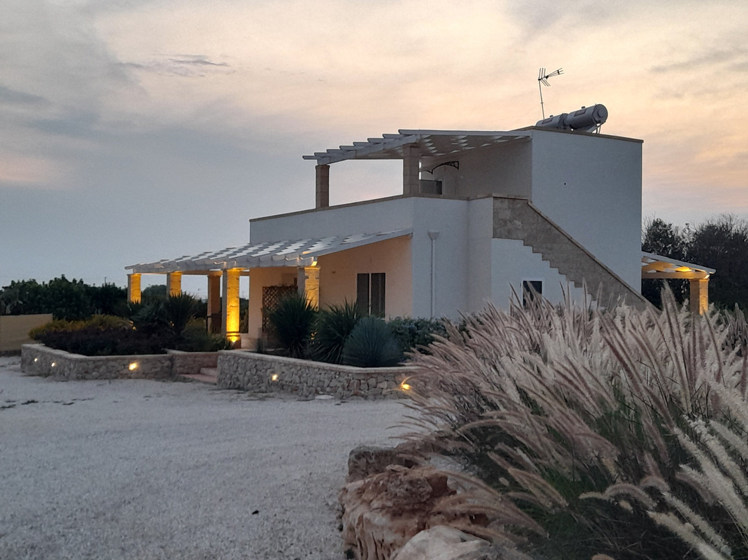 B&b Marrella