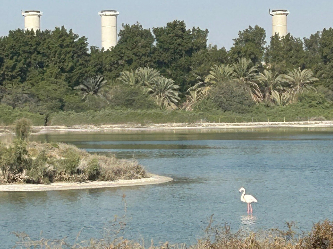 Wasit Wetland Centre-沙迦必去景点