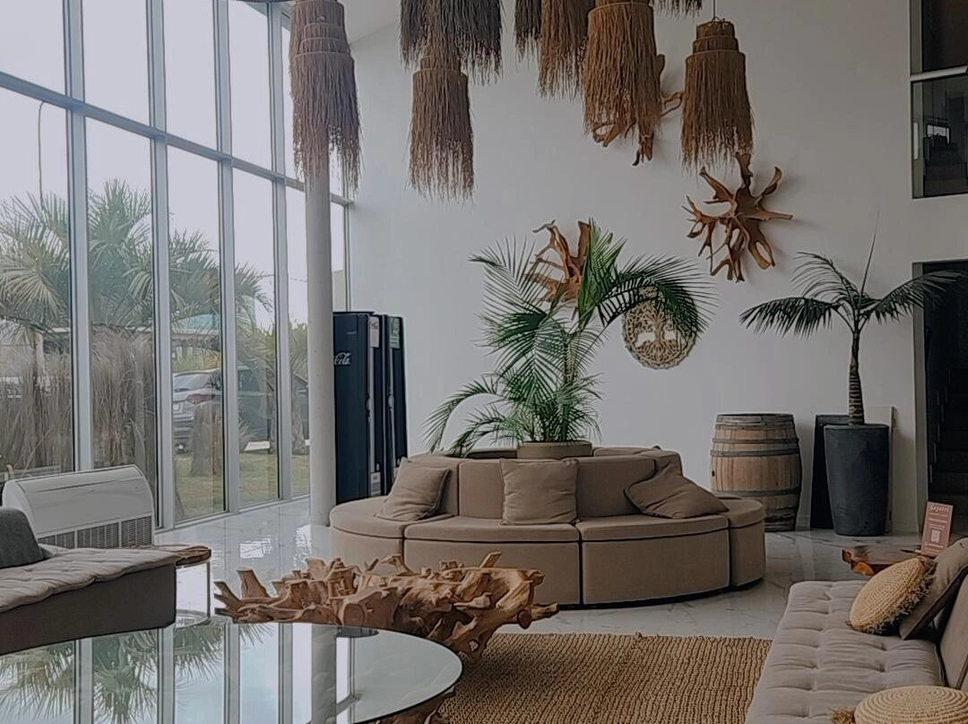 Alto de la Ballena-埃斯特角城必去景点