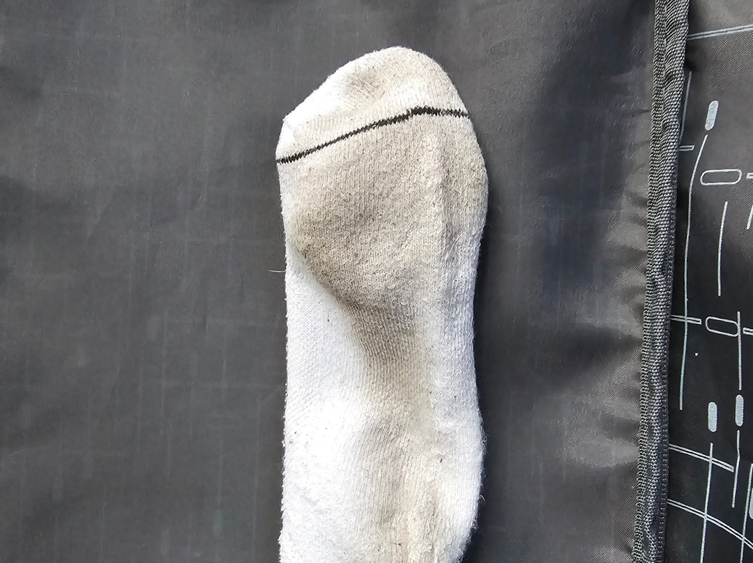 Best Western Premier I-95 Savannah Airport/ Pooler West主图