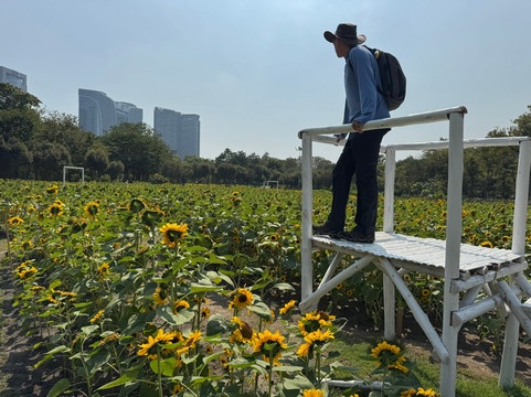 火车公园-曼谷必去景点