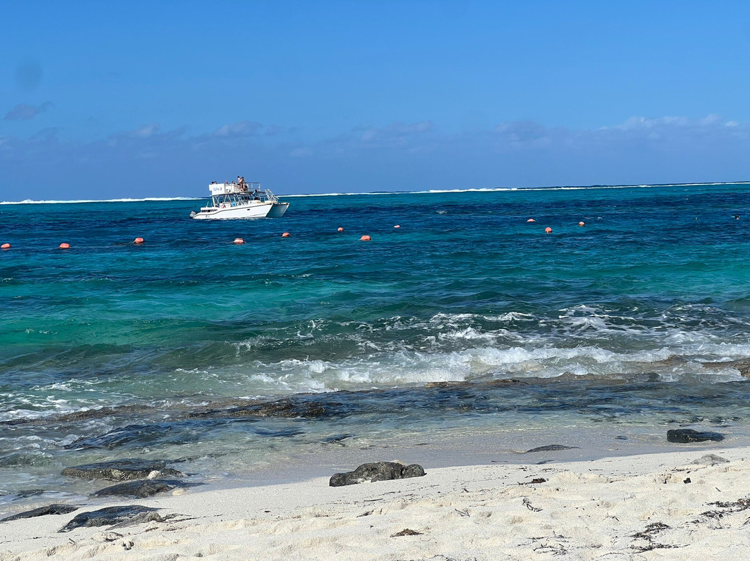 Smith's Reef-特克斯和凯科斯必去景点