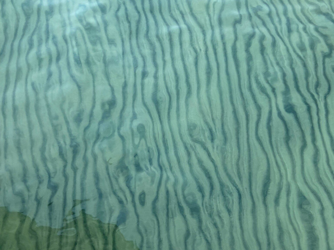 Franciscan Lakeside Lodge主图