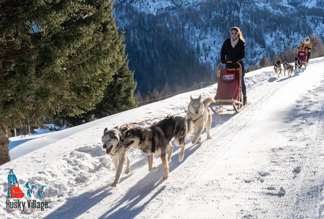 Centro Italiano Sleddog Husky Village-Valdidentro必去景点