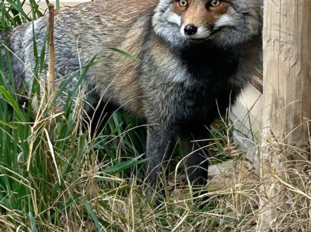 Núcleo Zoológico Iris-Barbastro必去景点