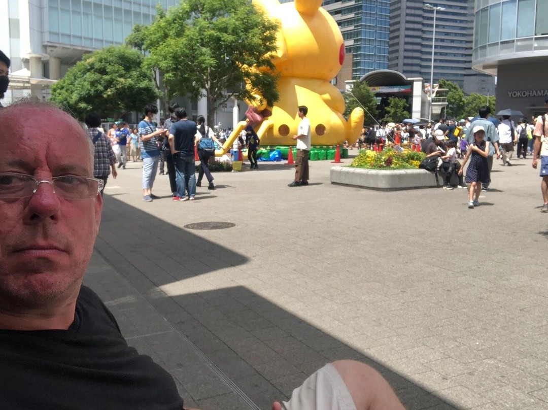 Yokohama Expert Guided Tours